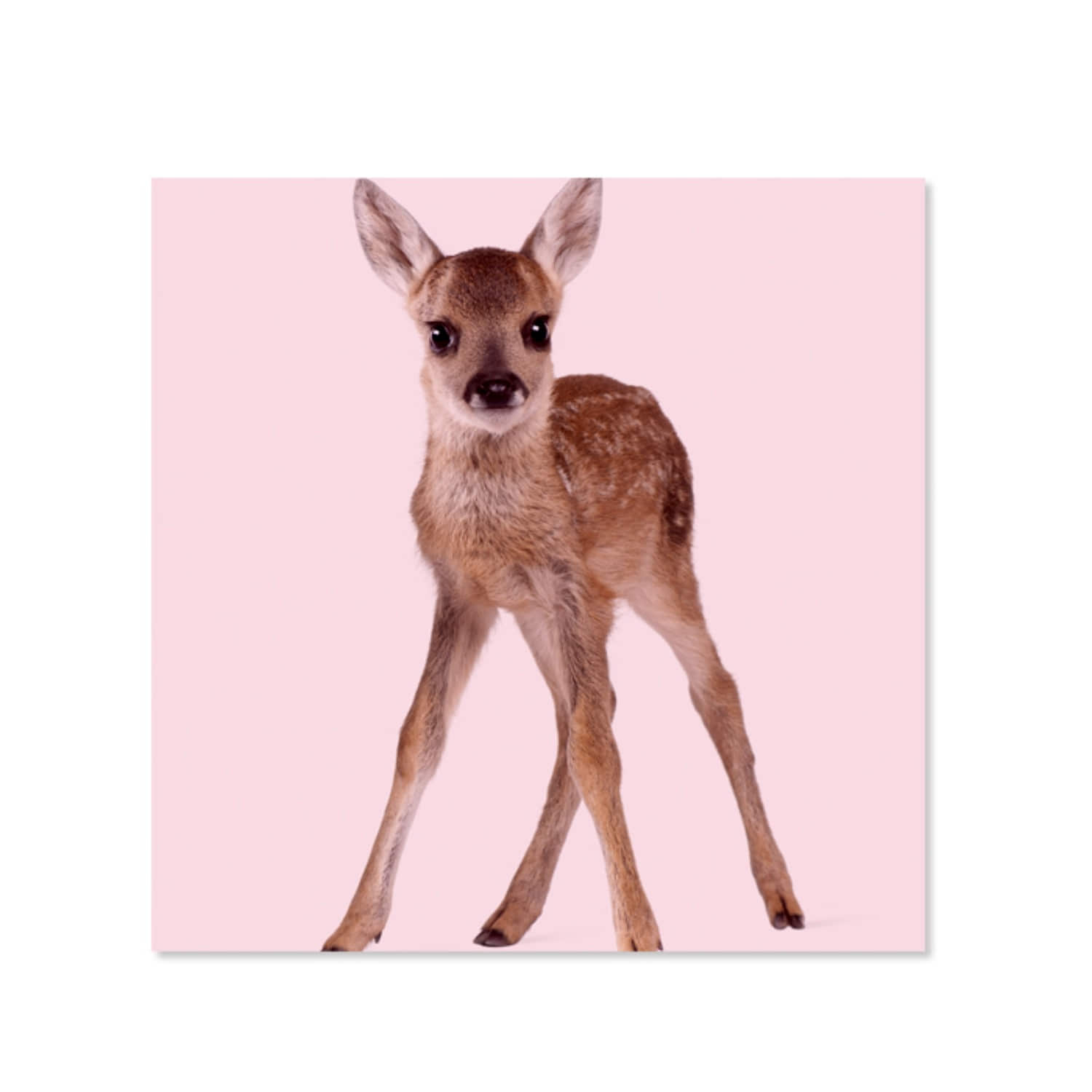 [drawing AMY] Bambi Artwork